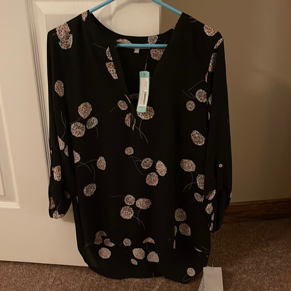Stitch Fix / Daniel Rainn size L ladies sheer blouse.